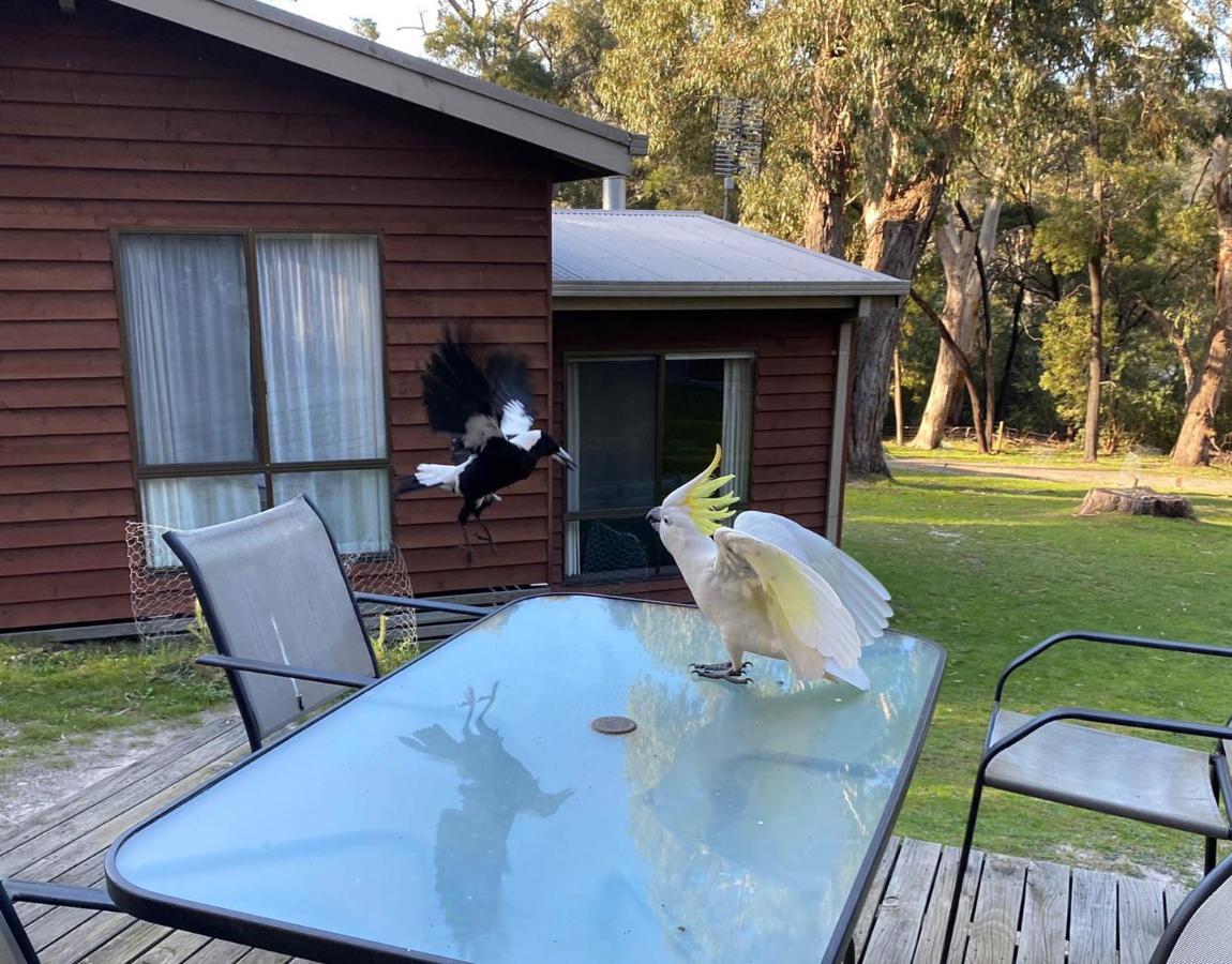 Wonderland Cottages Halls Gap Exterior foto