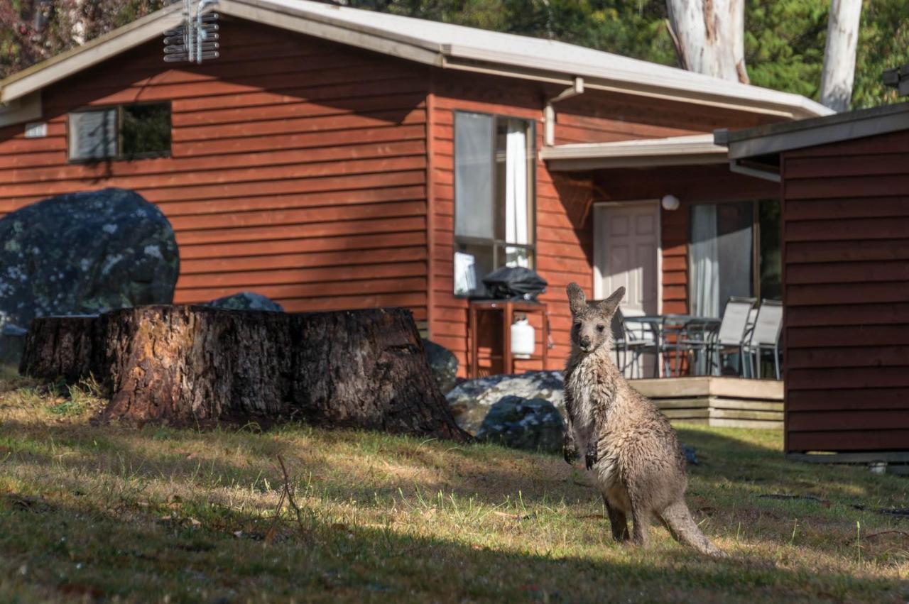 Wonderland Cottages Halls Gap Exterior foto